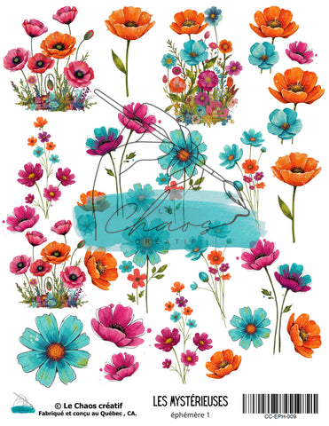 Le Chaos Créatif Les Mystérieuses, éphémères 1