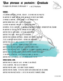 Le Chaos Créatif- phrases et pochoirs-Duo Gratitude