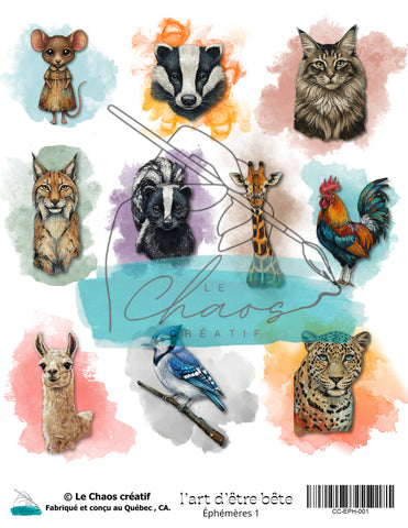 Le Chaos Créatif  L'art d'être bête, éphémères 1