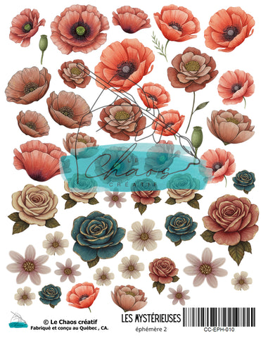 Le Chaos Créatif Les Mystérieuses, éphémères 2