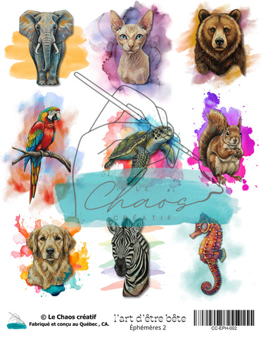 Le Chaos Créatif L'art d'être bête, éphémères 2