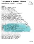 Le Chaos Créatif- phrases et pochoirs-Duo Gratitude