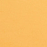 Core'dinations Core Foundations Cardstock 12"X12"