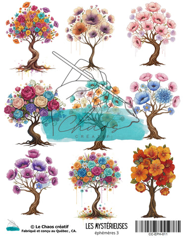 Le Chaos Créatif Les Mystérieuses, éphémères 3