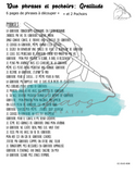 Le Chaos Créatif- phrases et pochoirs-Duo Gratitude