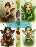 Le Chaos Créatif- album collage- Les Fées du collage – Les insectes, Vol. 2