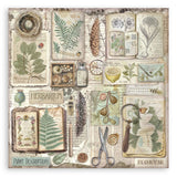 Stamperia Single-Sided Paper Pad 12"X12" 22/Pkg Herbarium Silvae