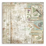 Stamperia Single-Sided Paper Pad 12"X12" 22/Pkg Herbarium Silvae