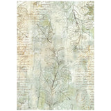 Stamperia Rice Paper Backgrounds A6 8/Pkg Herbarium Silvae