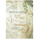 Stamperia Rice Paper Backgrounds A6 8/Pkg Herbarium Silvae
