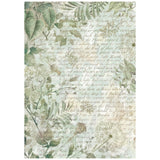 Stamperia Rice Paper Backgrounds A6 8/Pkg Herbarium Silvae
