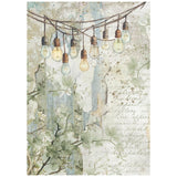 Stamperia Rice Paper Backgrounds A6 8/Pkg Herbarium Silvae