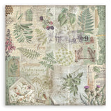 Stamperia Double-Sided Paper Pad 8"X8" 10/Pkg Herbarium Silvae