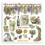Stamperia Rub-On Kit 6.1"X6.1" 6/Pkg Herbarium Silvae