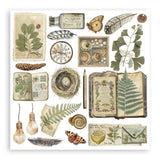 Stamperia Rub-On Kit 6.1"X6.1" 6/Pkg Herbarium Silvae