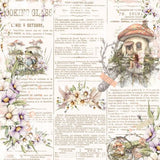 49 And Market Collection Pack 12"X12" The Looking Glass