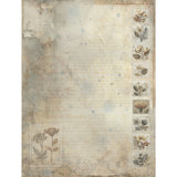 49 and Market Faded Memory Lane Collection Pack 6"X8"