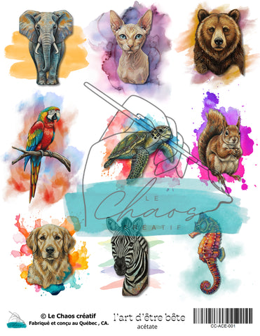 Le Chaos Créatif L'art d'être bête, acétates
