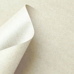Ciao Bella Cardstock Paper Sheet Ivory 10Pkg 30x30
