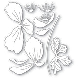 Memory Box Graceful Anemone craft die