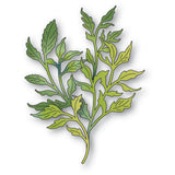 Memory Box  Wild Leaves craft die