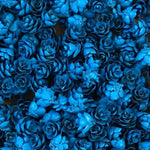 Les Belles des bois - Roses Des Bois - Bleu