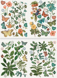 Arden Creative Studio Home & Garden Foliage Laser Cuts