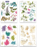 Arden Creative Studio Garden Chronicles 6in x 8in Rub-On Transfer Set