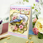 Hunkydory Crafts Beautiful Birds Deco-Large Set - Brilliant Blue Tit