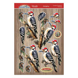 Hunkydory Crafts Beautiful Birds Deco-Large Set - Wonderful Woodpecker
