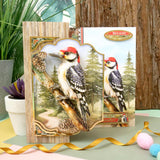 Hunkydory Crafts Beautiful Birds Deco-Large Set - Wonderful Woodpecker