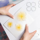 Chloe's Creative Cards Designer Printed Pearl Paper Pad (5x7) - Exquisite & Majestic Flowers