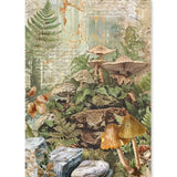 Ciao Bella Rice Paper A5 MIXED 8/Pkg The Nature Journal