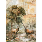 Ciao Bella Rice Paper A5 MIXED 8/Pkg The Nature Journal