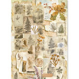 Ciao Bella Rice Paper A5 MIXED 8/Pkg The Nature Journal