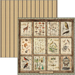 CIAO BELLA -Cabinet Of Curiosities Patterns Pad 12"x12" 8/Pkg