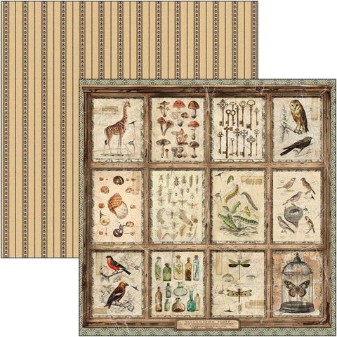 Bloc De Papier Scrapbooking Ciao Bella 'Cabinet Of Curiosities' - 30x30.5 Cm - 15 Motifs + 3 Cartes - Papier 190g/m² FSC