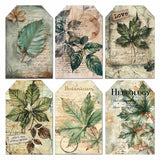 CIAO BELLA -Vellum Cabinet Of Curiosities Fussy Cut 6"x6" 6/Pkg