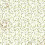 CIAO BELLA -Vellum Cabinet Of Curiosities Fussy Cut 6"x6" 6/Pkg