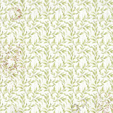 CIAO BELLA -Vellum Cabinet Of Curiosities Fussy Cut 6"x6" 6/Pkg