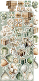 Craft O'Clock Extras Set, Lifetime Loving You - Wedding