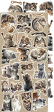 Craft O'Clock Creative Extras, 03 - Cats