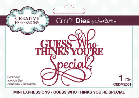 Creative Expressions Dies by Sue Wilson Mini Expressions Guess Who Thinks Your Specia