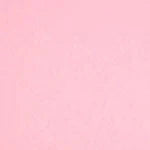 S50 Et Cetera Papers Colorplan 12X12 Cardstock 100 lbs - 10 Sheets Candy Pink