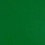S50 Et Cetera Papers Colorplan 12X12 Cardstock 100 lbs - 10 Sheets -lockwood green