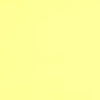 S50 Et Cetera Papers Colorplan 12X12 Cardstock 100lbs - 10 Sheets Sorbet Yellow
