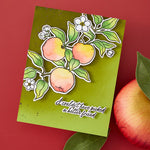HERO ARTS APPLE BRANCH STAMP & CUT SET FROM THE I PICK YOU COLLECTION