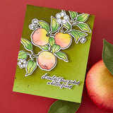 HERO ARTS APPLE BRANCH STAMP & CUT SET FROM THE I PICK YOU COLLECTION