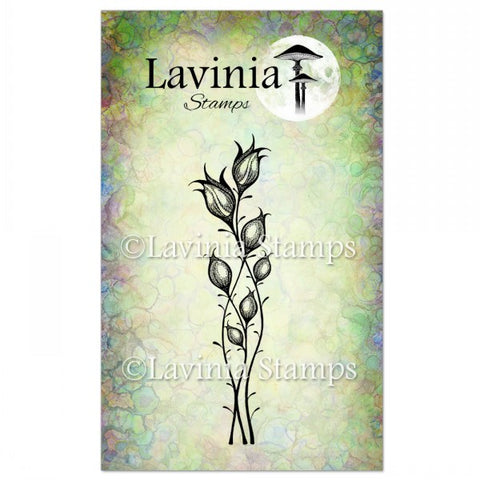Lavinia - Star Blossom Stamp