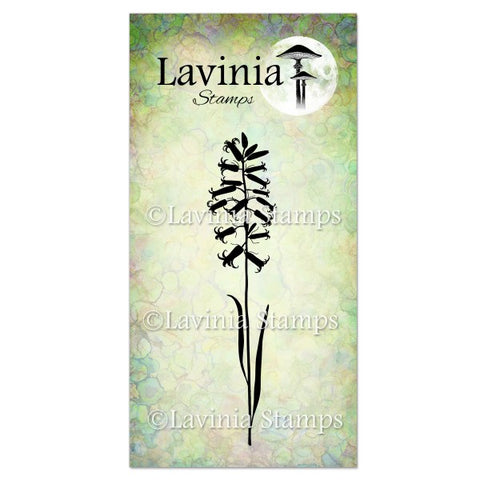 Lavinia - English Bluebell